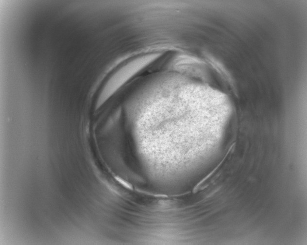 X0000068280060200605051852