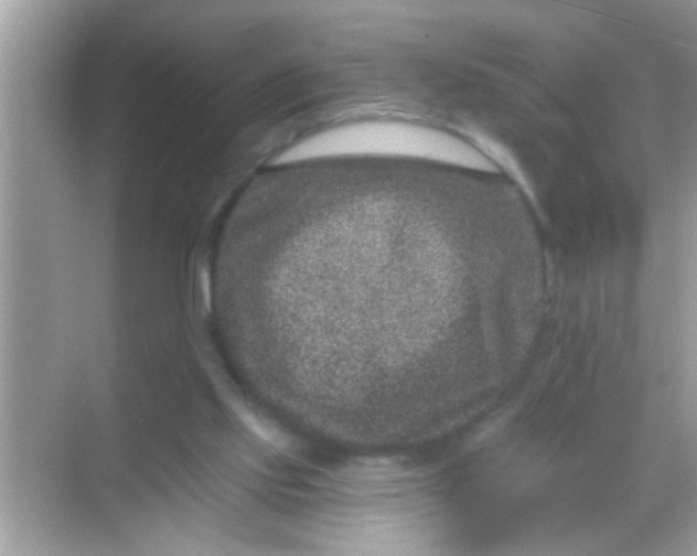 X0000068280061200605051852