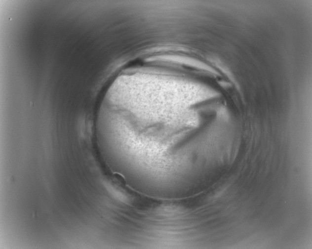 X0000068280063200605051852