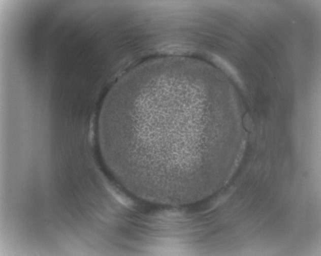 X0000068280065200605051852