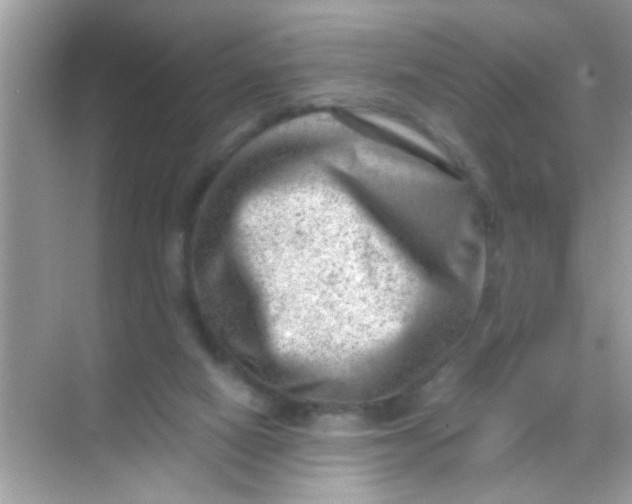 X0000068280066200605051852