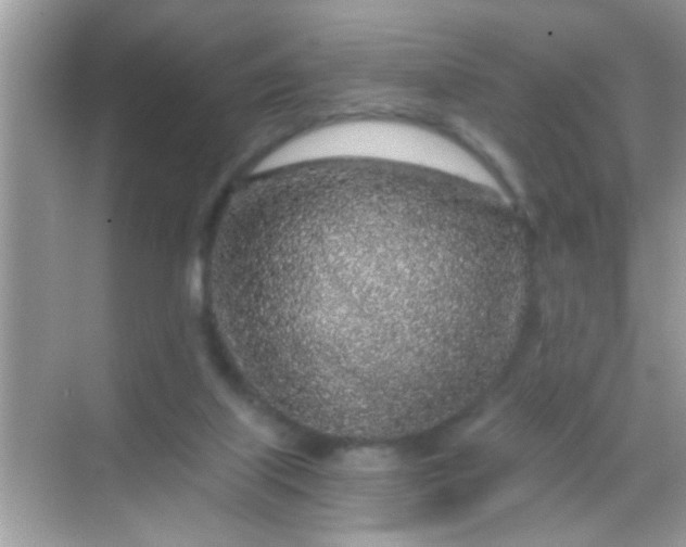 X0000068280067200605051852