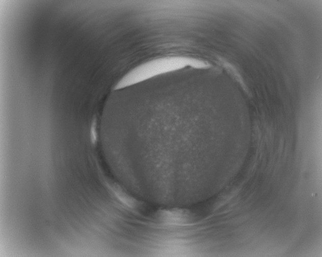 X0000068280069200605051852