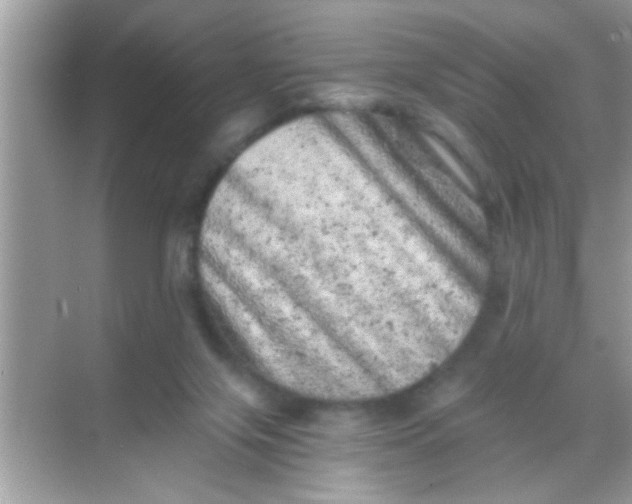 X0000068280071200605051852