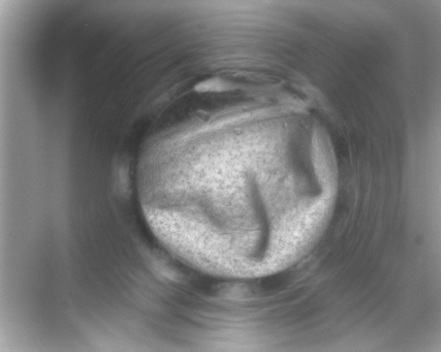 X0000068280074200605051852