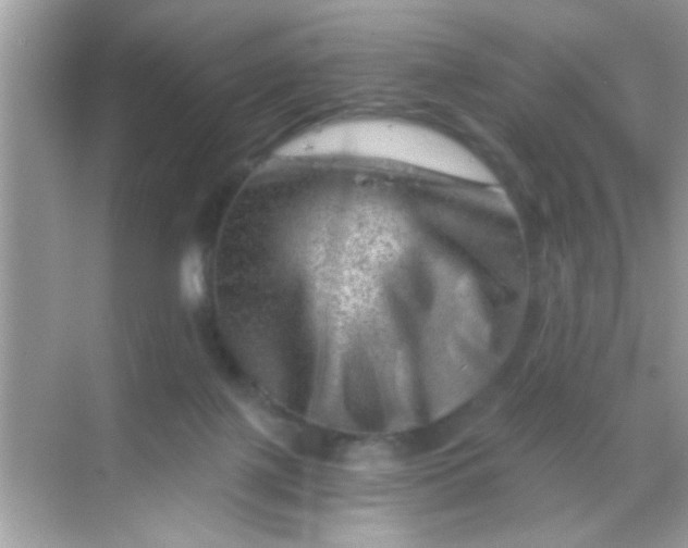 X0000068280075200605051852