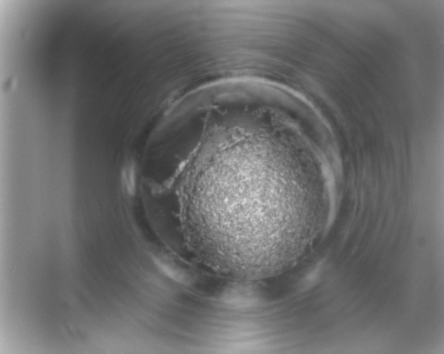 X0000068280076200605051852