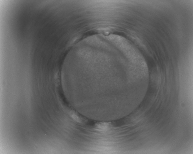 X0000068280079200605051852