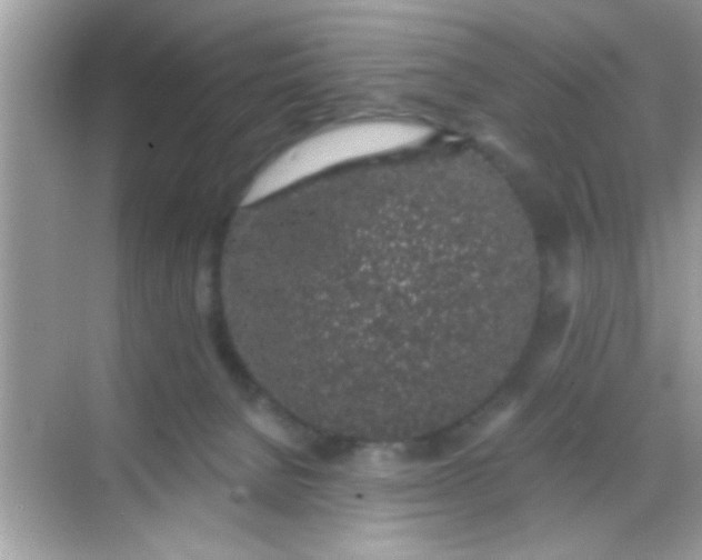 X0000068280080200605051852