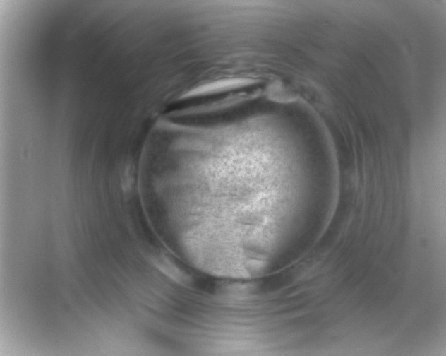 X0000068280081200605051852