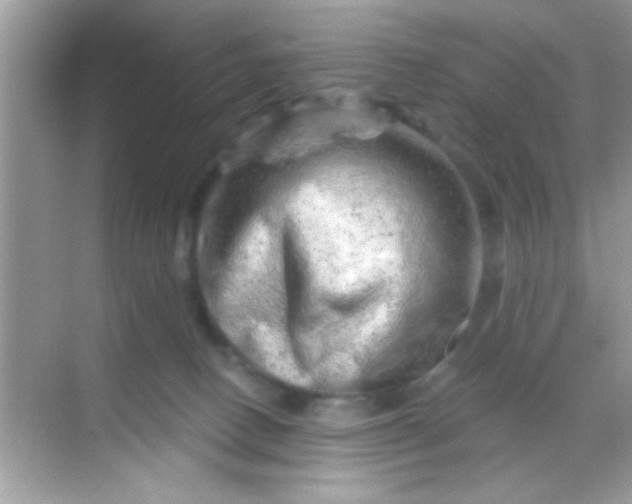 X0000068280082200605051852