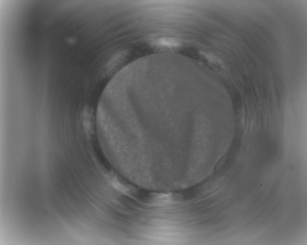 X0000068280083200605051852