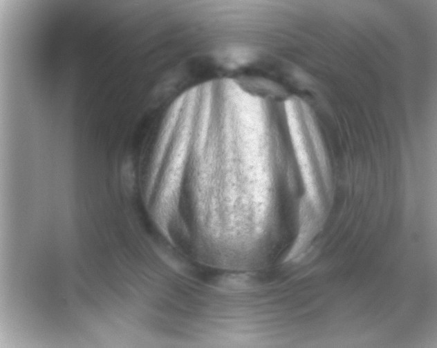 X0000068280086200605051852