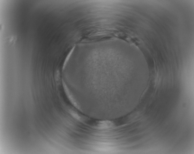 X0000068280087200605051852