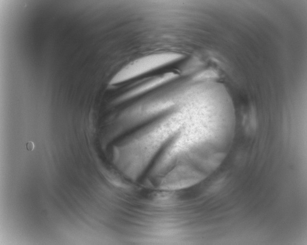 X0000068280088200605051852