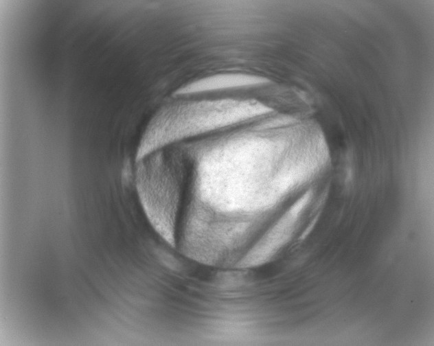 X0000068280089200605051852