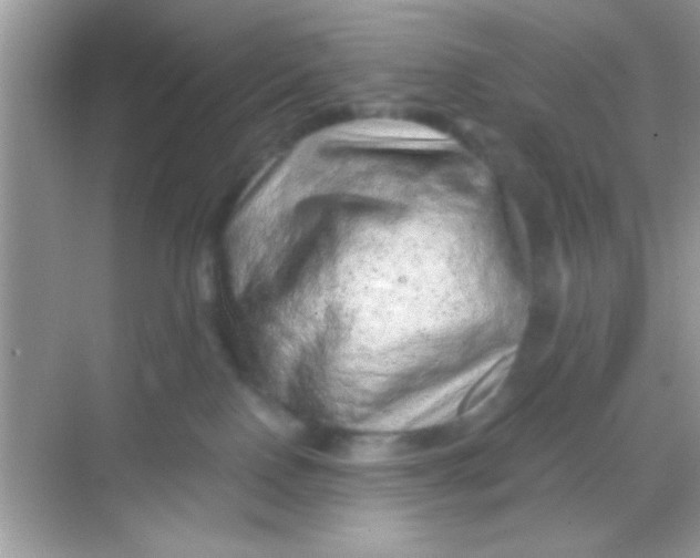 X0000068280090200605051852