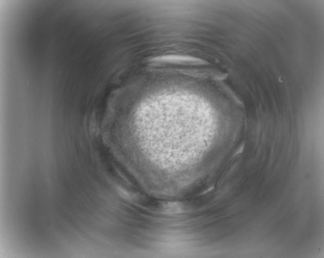 X0000068280091200605051852