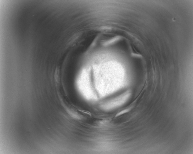 X0000068280092200605051852