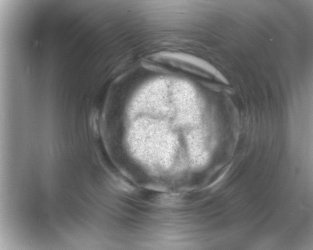 X0000068280094200605051853