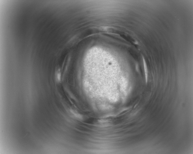 X0000068280095200605051853