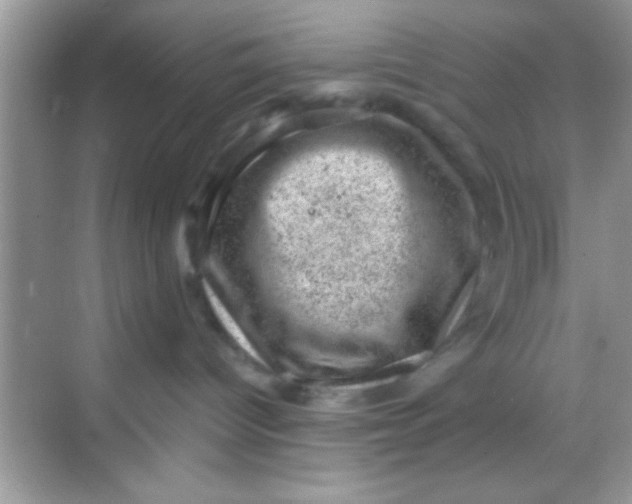 X0000068280096200605051853