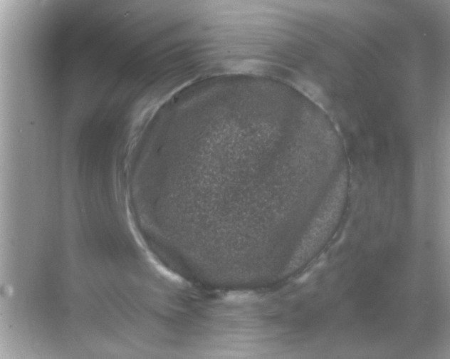 X0000068280097200605051852