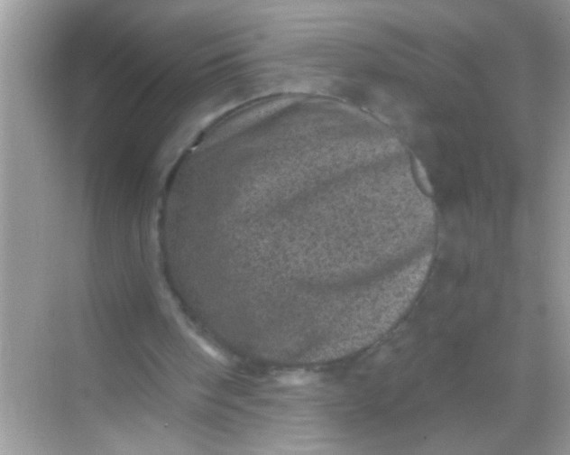 X0000068280098200605051852