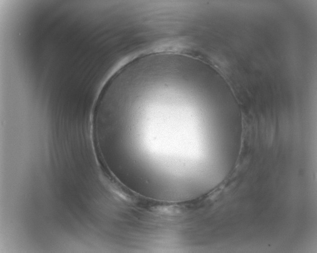 X0000068280100200605051852