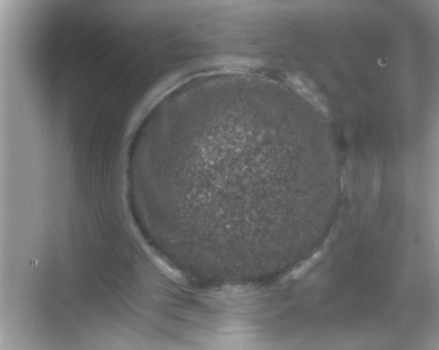 X0000068280101200605051852