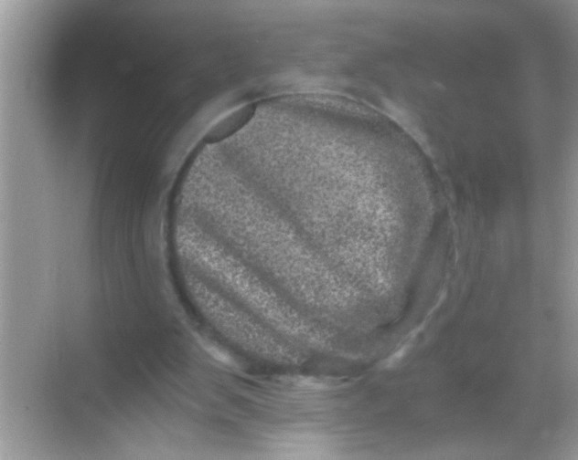 X0000068280103200605051852