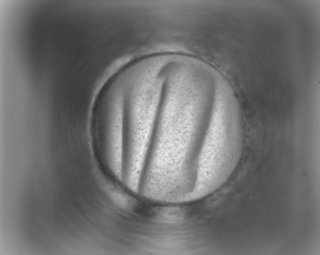 X0000068280104200605051852