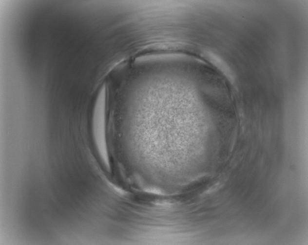 X0000068280105200605051852