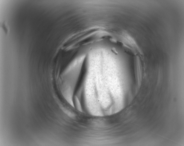 X0000068280106200605051852