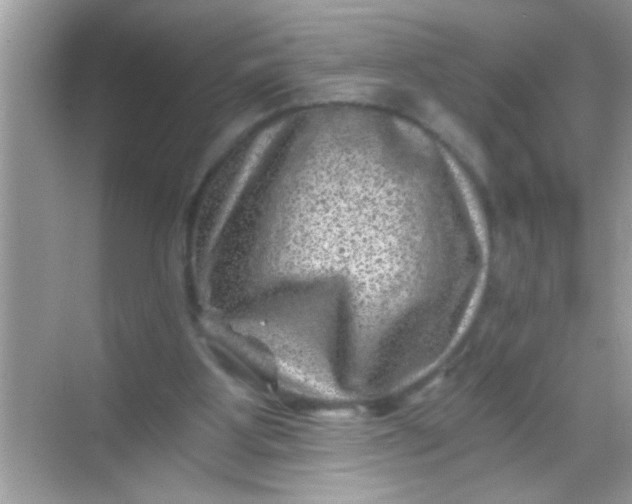 X0000068280107200605051852