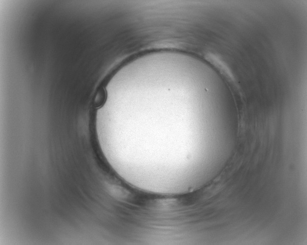 X0000068280108200605051852