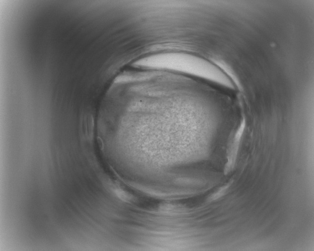 X0000068280109200605051852