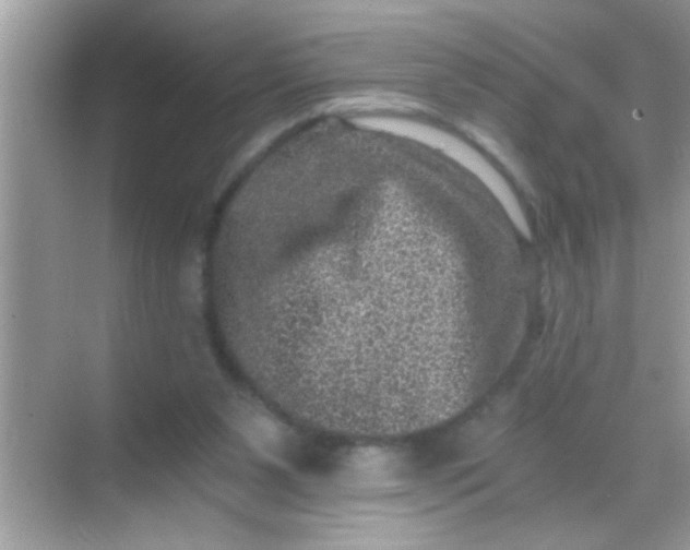 X0000068280111200605051852