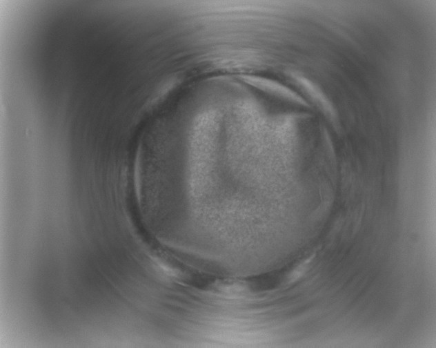 X0000068280113200605051851