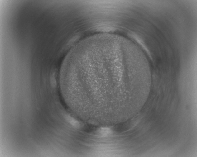 X0000068280114200605051851