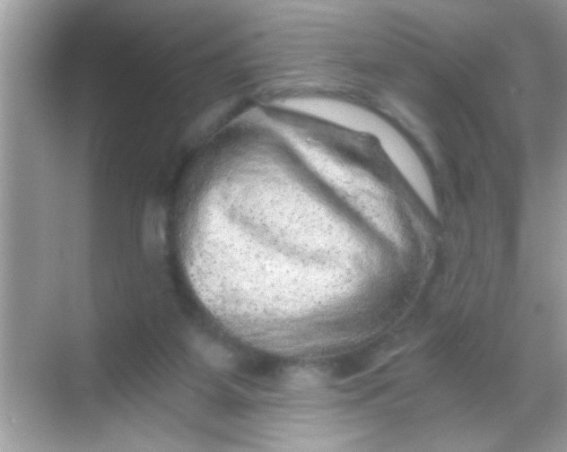 X0000068280115200605051851