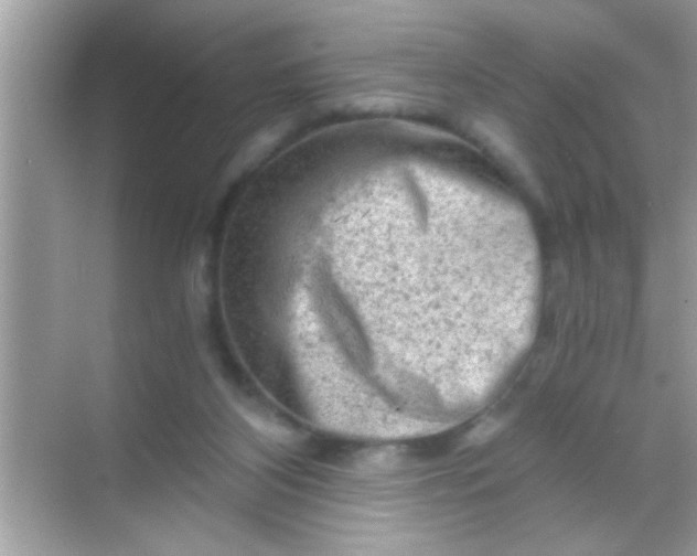 X0000068280116200605051851