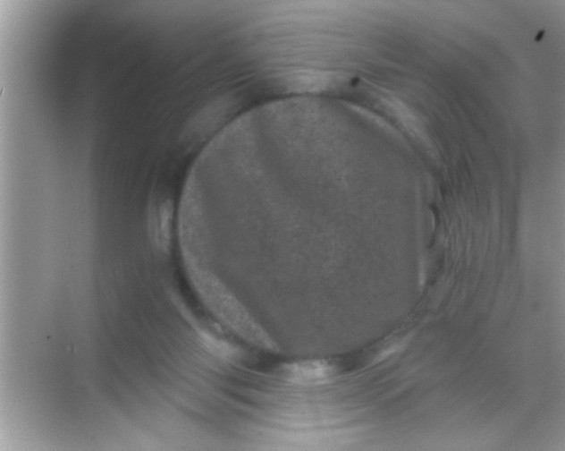 X0000068280118200605051851