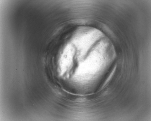 X0000068280119200605051851