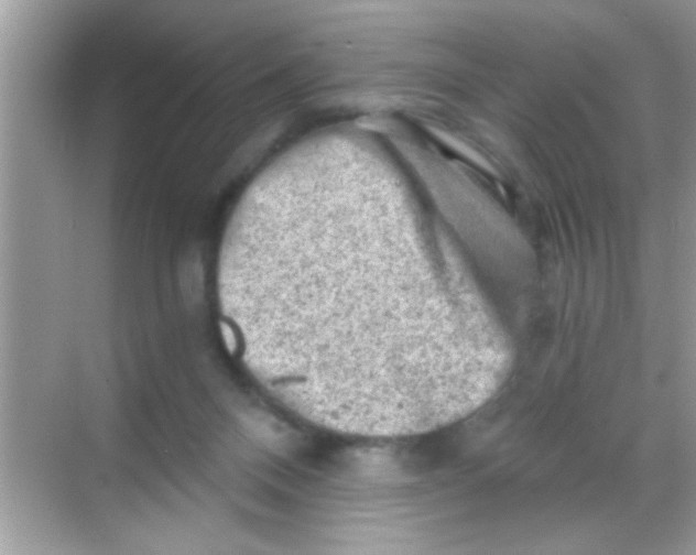 X0000068280120200605051851