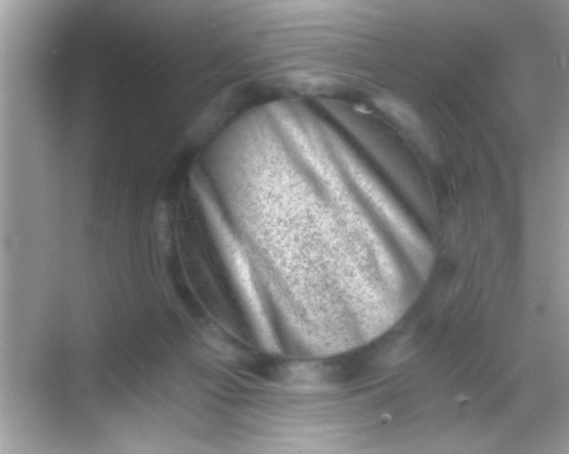 X0000068280121200605051851