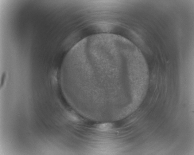 X0000068280122200605051851