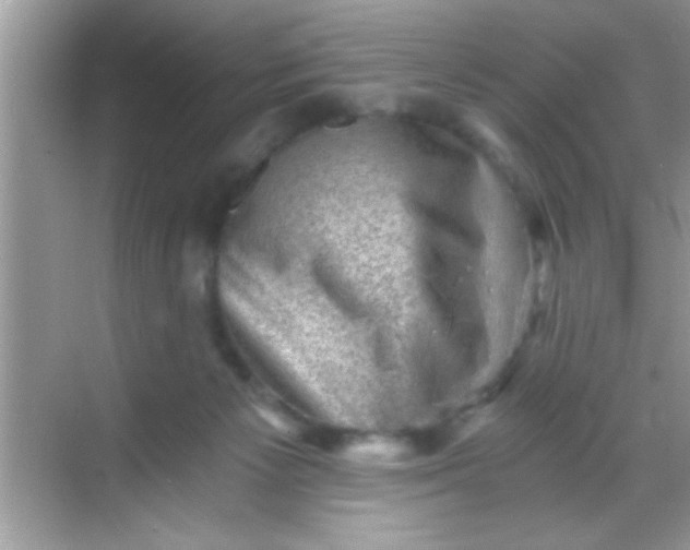 X0000068280125200605051851