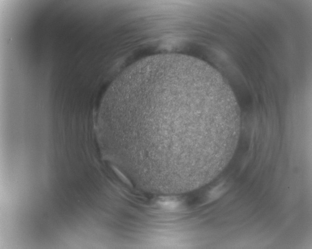 X0000068280127200605051851