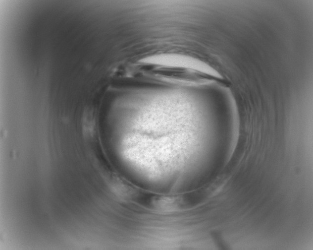 X0000068280129200605051851